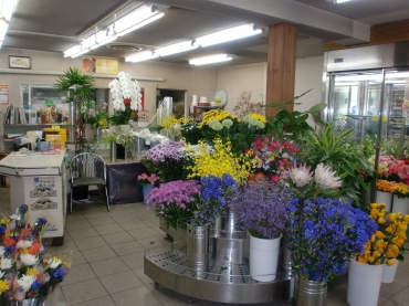 「花いちばん」　（宮城県仙台市太白区）の花屋店舗写真3