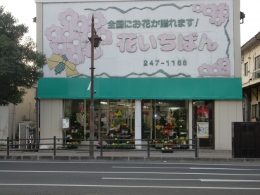 「花いちばん」　（宮城県仙台市太白区）の花屋店舗写真1
